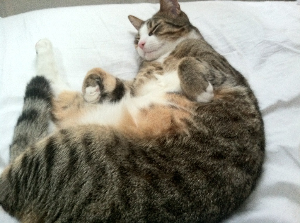 罗马掀翻英格兰，蒂亚戈让比赛提前失去悬念