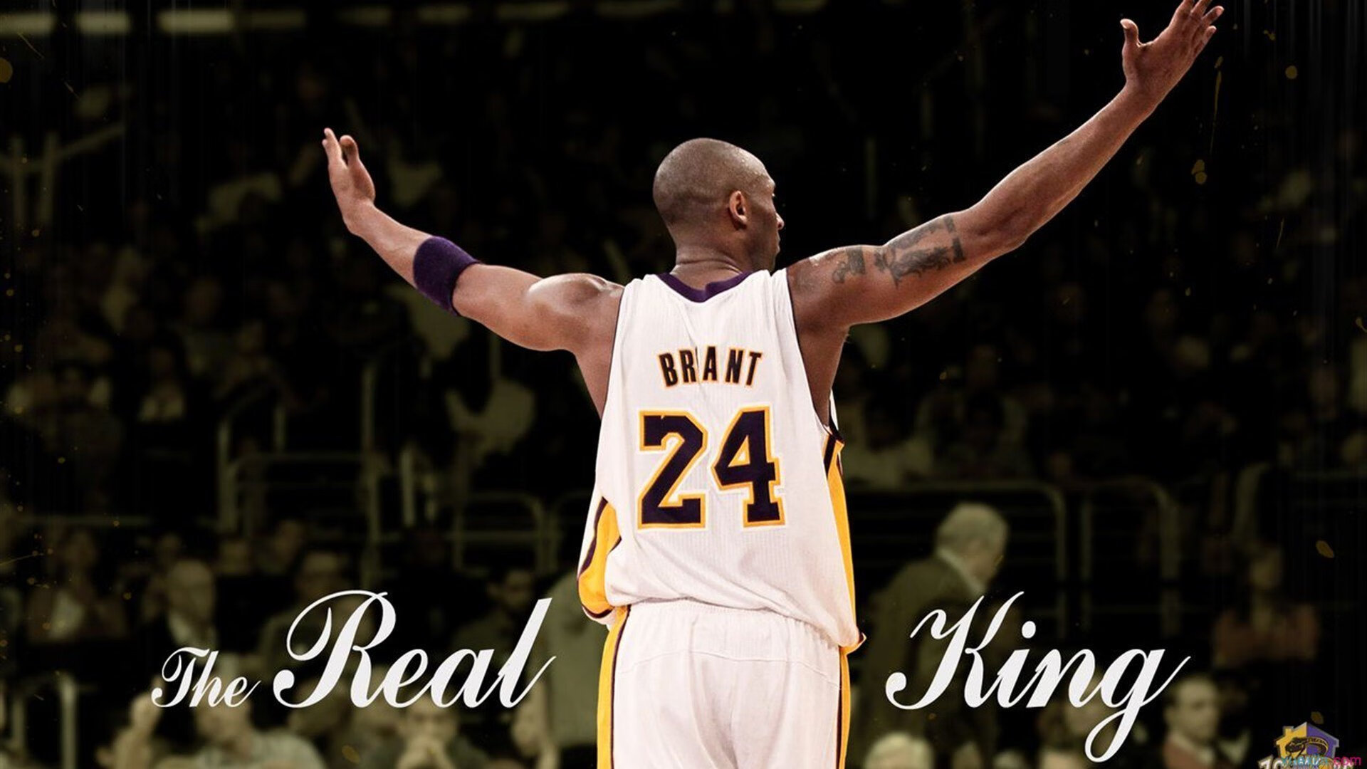 奥运关键战现统治级表现！坎特攻防一体诠释何为压制力